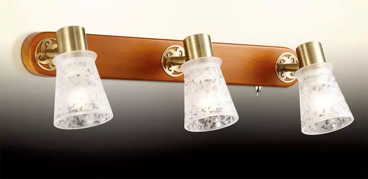 Спот с выключателем Odeon Light Blanca 2614/3W