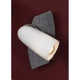 Спот Sava LSN-4901-01 Lussole