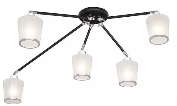 Спот Silver Light Dresden 136.59.5