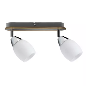 Спот Wolba 60073 Paulmann