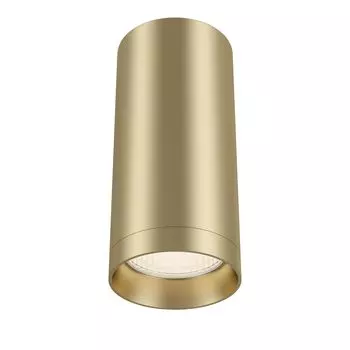 Светильник накладной Maytoni Alfa C010CL-01MG