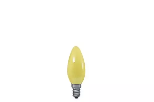 Светодиодная лампа Paulmann E14 25W 40222