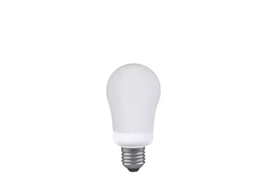 Светодиодная лампа Paulmann E27 11W 89011