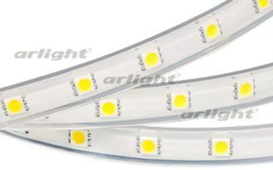 Светодиодная лента ARL-W5060PG-50-220V Cool 9000K (500 LED, 10m) Arlight 019670 SMD 5060 10м.