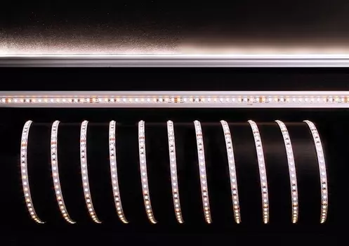 Светодиодная лента Deko-Light 840266