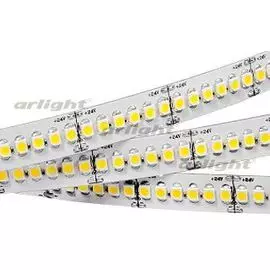 Светодиодная лента RT6-3528-240 24V White 4x (1200 LED) Arlight 017430 SMD 3528 5м.