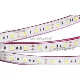 Светодиодная лента RTW 2-5000PGS 12V Blue 2x (5060, 300 LED, LUX) Arlight 013406 SMD 5060 5м.