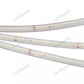 Светодиодная лента RTW 2-5000PS 024520 Arlight