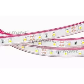Светодиодная лента RTW 2-5000PS 12V Day4000 (3528, 300 LED, LUX) Arlight 021100 SMD 3528 5м.