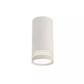 Точечный светильник 100 OML-100809-01 Omnilux