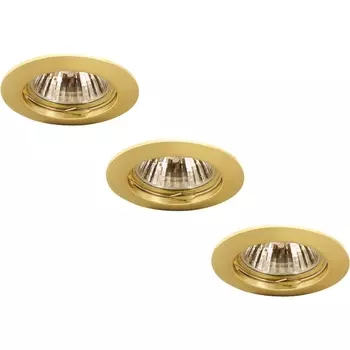 Точечный светильник Basic A2103PL-3GO Arte Lamp