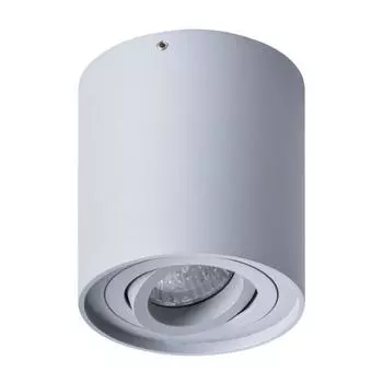 Точечный светильник Falcon A5645PL-1GY Arte Lamp