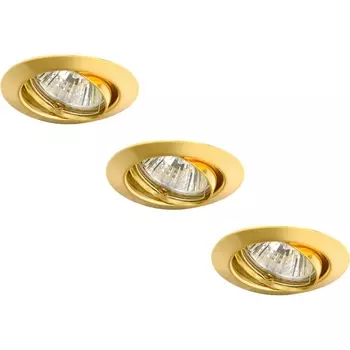 Точечный светильник Praktisch A1213PL-3GO Arte Lamp