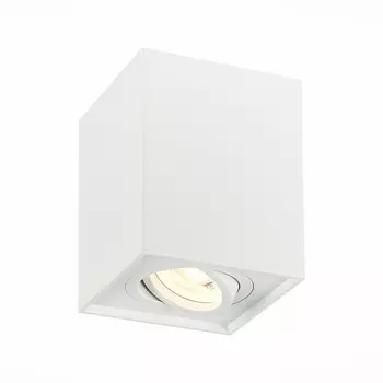 Точечный светильник Quadrus ST109.507.01 ST Luce