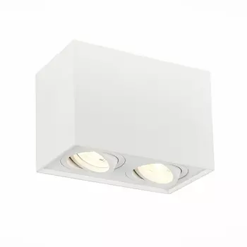 Точечный светильник Quadrus ST109.507.02 ST Luce