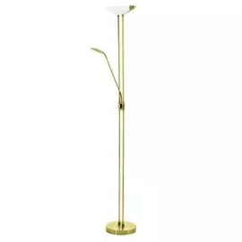 Торшер Eglo Baya Led 93877