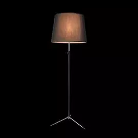 Торшер Maytoni Modern MOD323-FL-01-B