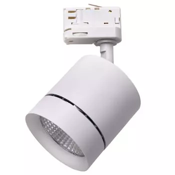 Трековый светильник Lightstar Canno 301562