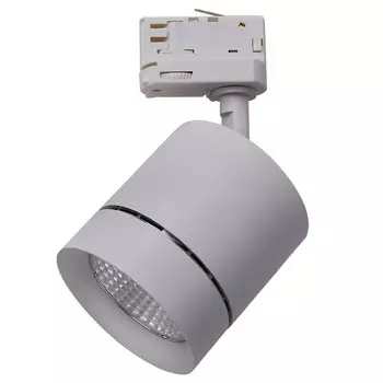 Трековый светильник Lightstar Canno 301594
