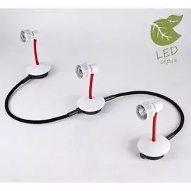 Трековый светильник Lussole Bay Shore GRLSP-9818-03