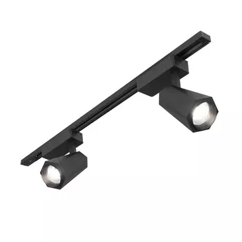 Трековый светильник Magnum LTB46 Elektrostandard a045435