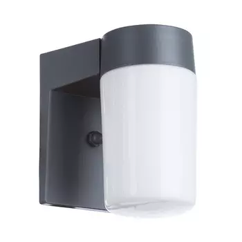 Уличный настенный светильник Arte Lamp City A8058AL-1GY