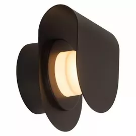 Уличный настенный светильник Brilliant Archea G96239/06