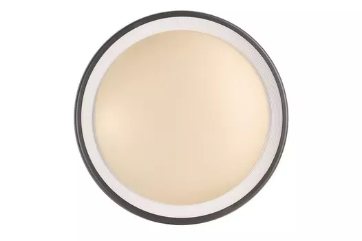 Уличный настенный светильник Deko-Light Canis 731045