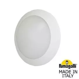 Уличный настенный светильник Fumagalli BERTINA 1B1.000.000.WYD1L
