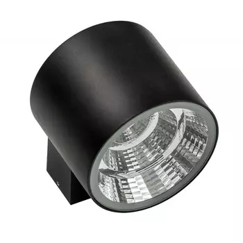 Уличный настенный светильник Lightstar Paro 370572