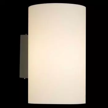 Уличный настенный светильник Maytoni Camden O008WL-01S