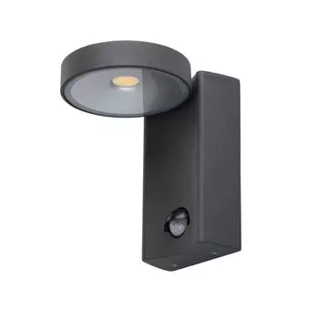 Уличный настенный светильник MW-Light Меркурий 807022001