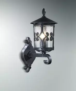 Уличный настенный светильник Odeon Light Bukle 2310/1W