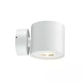 Уличный настенный светильник Paulmann Big Flame 18007