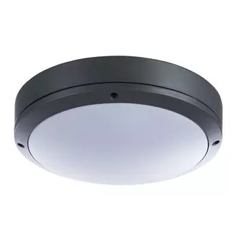 Уличный потолочный светильник Arte Lamp City A8154PF-2GY