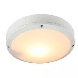 Уличный потолочный светильник Arte Lamp City A8154PF-2WH
