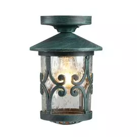 Уличный потолочный светильник Arte Lamp Persia A1453PF-1BG