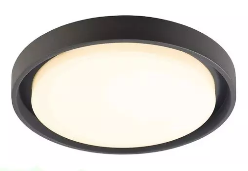 Уличный потолочный светильник Deko-Light Ascella 348067