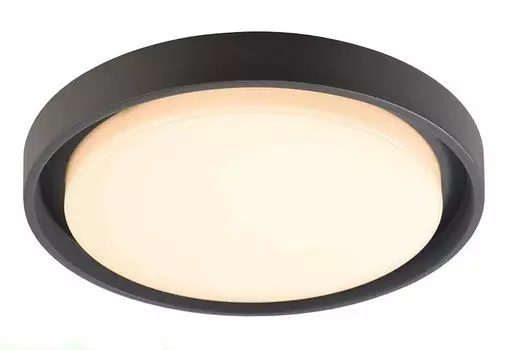 Уличный потолочный светильник Deko-Light Ascella 348069