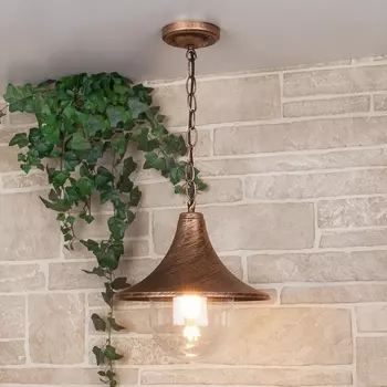 Уличный светильник подвесной Saga Saga H черное золото (GL 1020H) Elektrostandard a039866