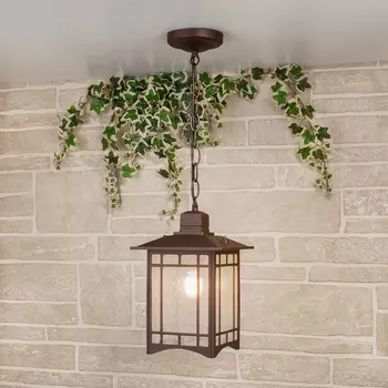 Уличный светильник подвесной Vela GL 1019H Elektrostandard a043649