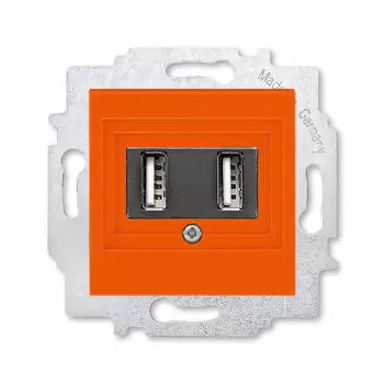 USB зарядка двойная ABB Levit оранжевый 5014H-A00040 66W 2CHH290040A6066