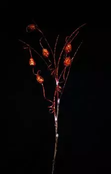 Ветка 3V 4LED Feron 26868