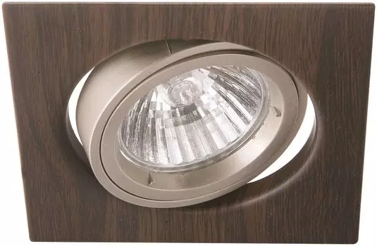 Встраиваемый поворотный светильник Arte Lamp Wood A2206PL-3BR