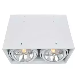Встраиваемый светильник Arte Lamp Cardani Grande A5936PL-2WH