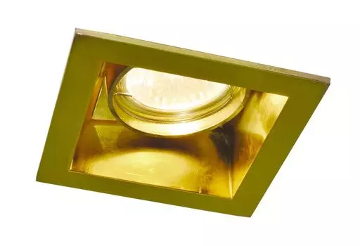 Встраиваемый светильник Arte Lamp Technika A8050PL-1GO