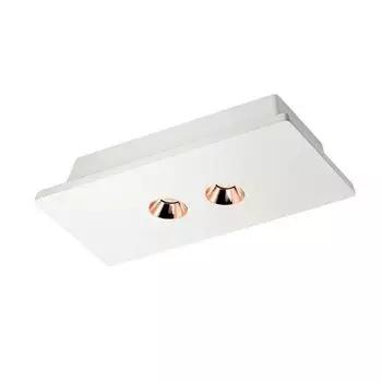 Встраиваемый светильник Loft It Architect OL1072-WG/2