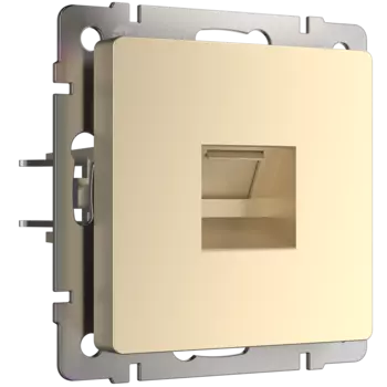 WL11-RJ-45 Розетка Ethernet RJ-45 (шампань) Antik Werkel a040910