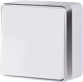 WL15-01-01 Выключатель одноклавишный Gallant (белый) Gallant Werkel a036760