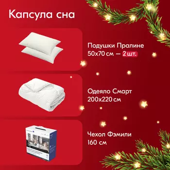 Капсула сна: одеяло Смарт 200x220 + подушки Пралине 50x70 + чехол Фэмили 160x200